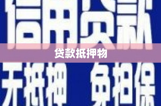 贞丰贷款抵押物