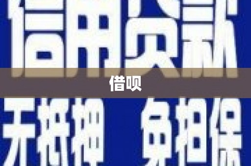 贞丰借呗