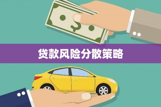 贞丰贷款风险分散策略