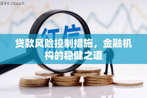 贞丰贷款风险控制措施，金融机构的稳健之道