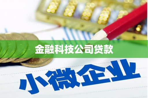 贞丰金融科技公司贷款