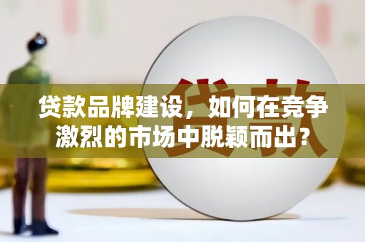 贞丰贷款品牌建设，如何在竞争激烈的市场中脱颖而出？