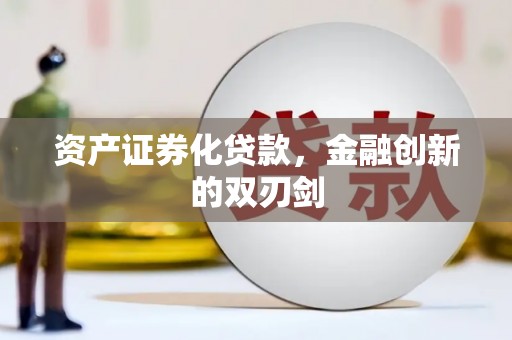 贞丰资产证券化贷款，金融创新的双刃剑