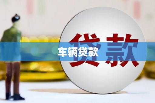 贞丰车辆贷款