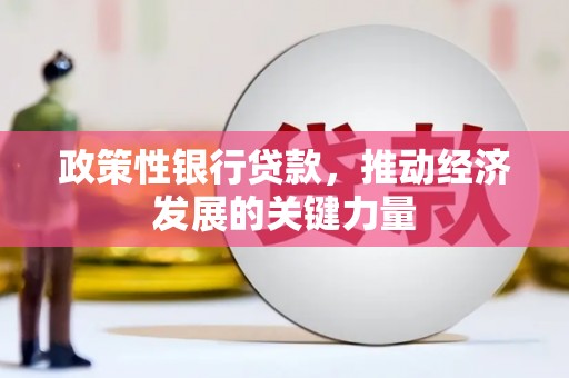 贞丰政策性银行贷款，推动经济发展的关键力量