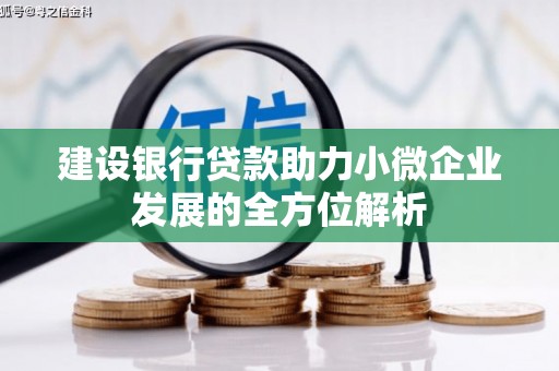 贞丰建设银行贷款助力小微企业发展的全方位解析