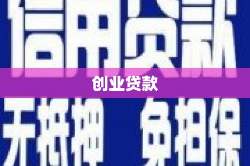 贞丰创业贷款