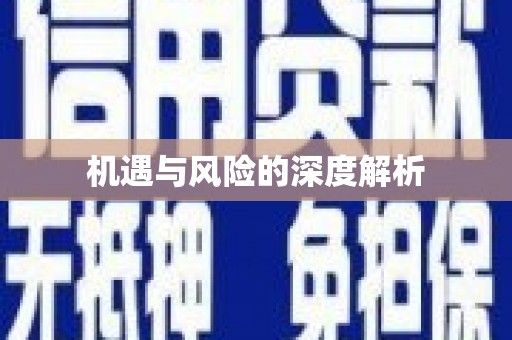 贞丰机遇与风险的深度解析