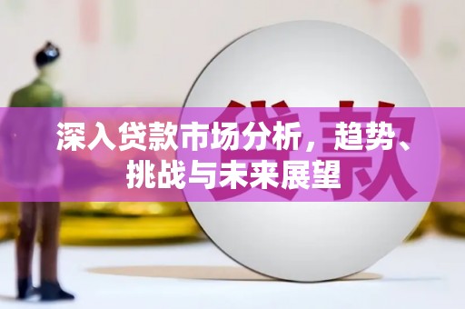 贞丰深入贷款市场分析，趋势、挑战与未来展望