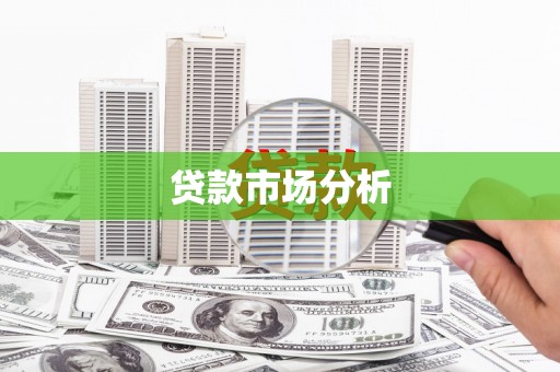 贞丰贷款市场分析