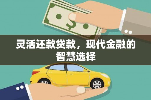 贞丰灵活还款贷款，现代金融的智慧选择