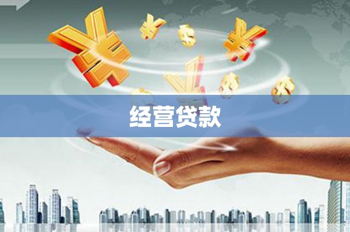 贞丰经营贷款