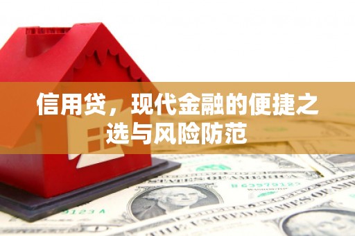 贞丰信用贷，现代金融的便捷之选与风险防范