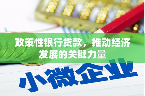 贞丰政策性银行贷款，推动经济发展的关键力量