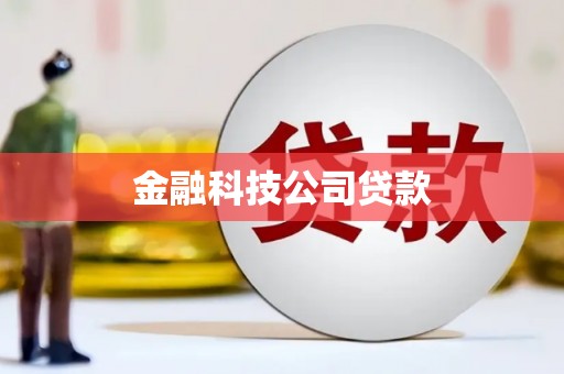 贞丰金融科技公司贷款