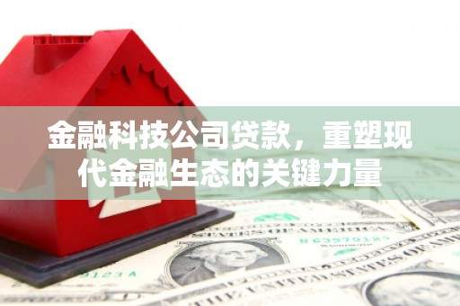 贞丰金融科技公司贷款，重塑现代金融生态的关键力量