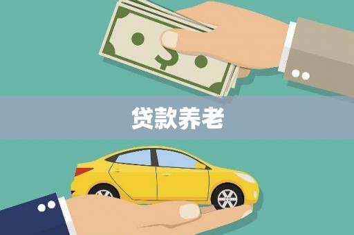 贞丰贷款养老