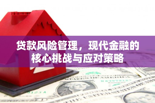 贞丰贷款风险管理，现代金融的核心挑战与应对策略