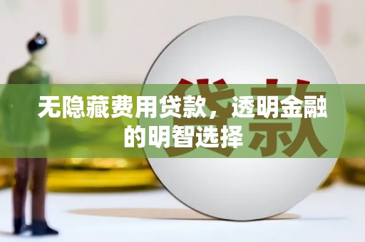 贞丰无隐藏费用贷款，透明金融的明智选择