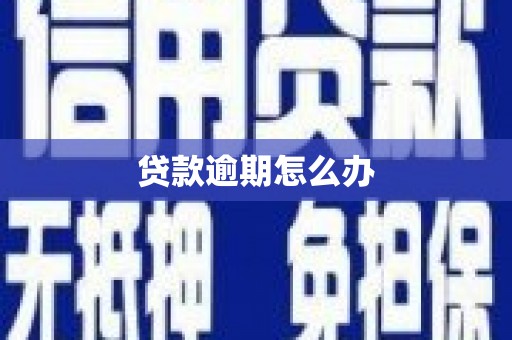 贞丰贷款逾期怎么办
