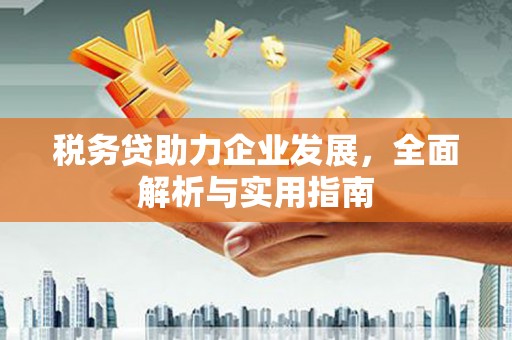 贞丰税务贷助力企业发展，全面解析与实用指南