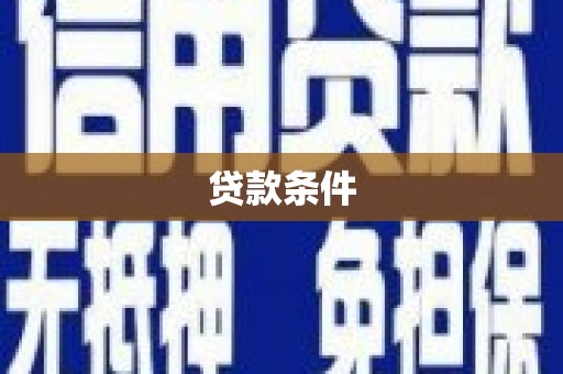 贞丰贷款条件
