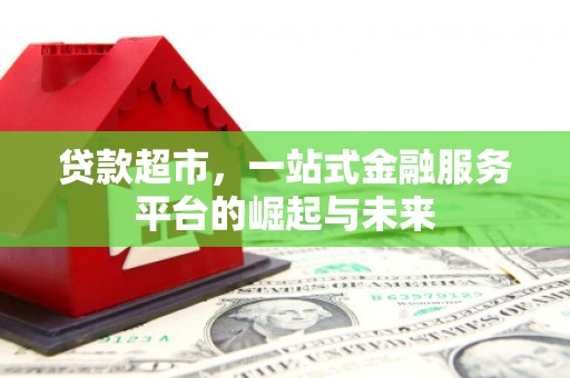 贞丰贷款超市，一站式金融服务平台的崛起与未来