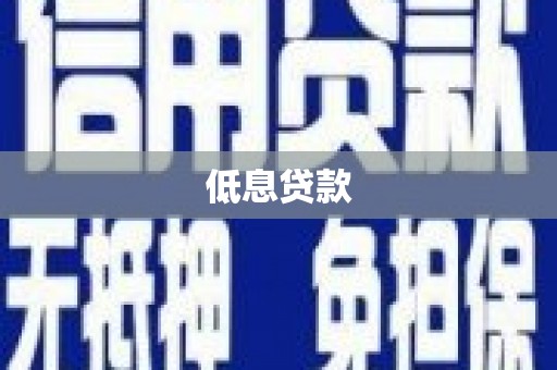 贞丰低息贷款