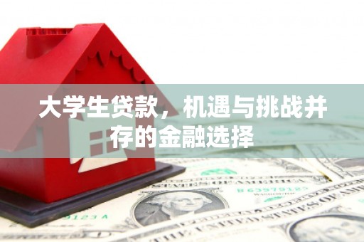 贞丰大学生贷款，机遇与挑战并存的金融选择