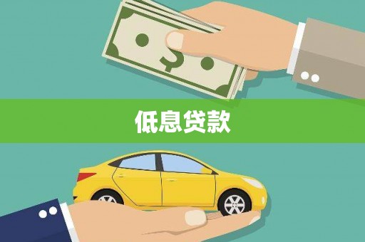 贞丰低息贷款