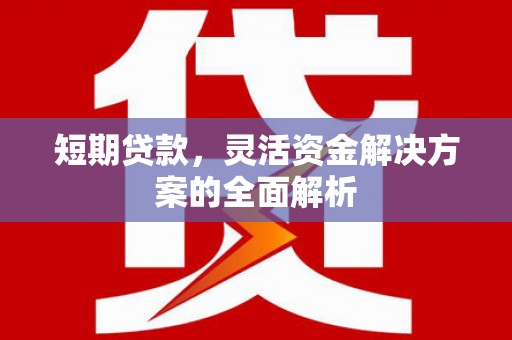 贞丰短期贷款，灵活资金解决方案的全面解析