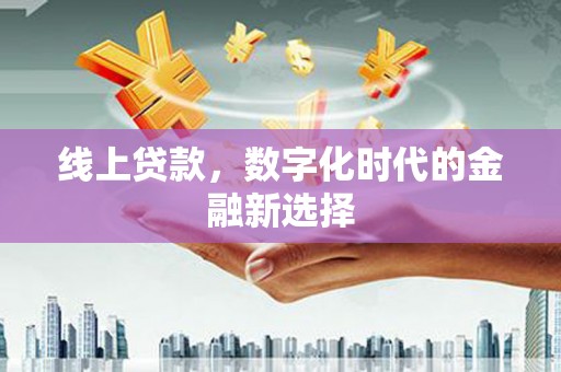 贞丰线上贷款，数字化时代的金融新选择