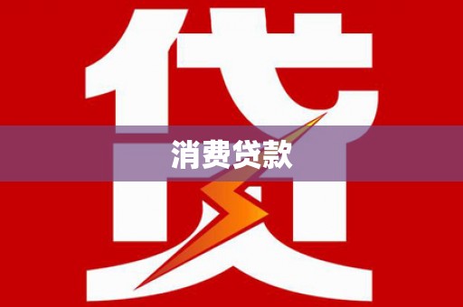 贞丰消费贷款