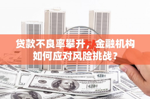 贞丰贷款不良率攀升，金融机构如何应对风险挑战？