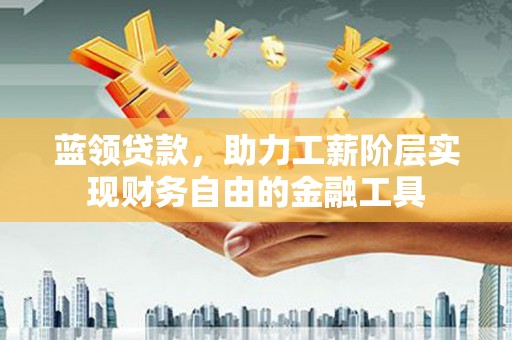 贞丰蓝领贷款，助力工薪阶层实现财务自由的金融工具