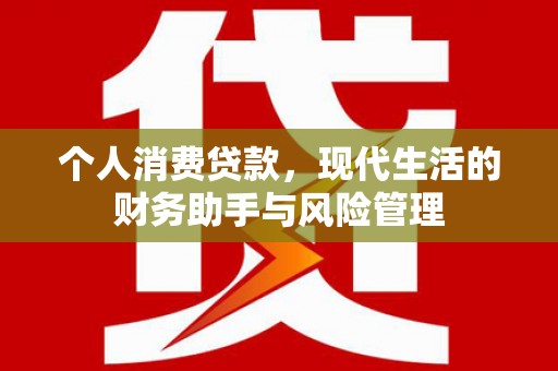 贞丰个人消费贷款，现代生活的财务助手与风险管理