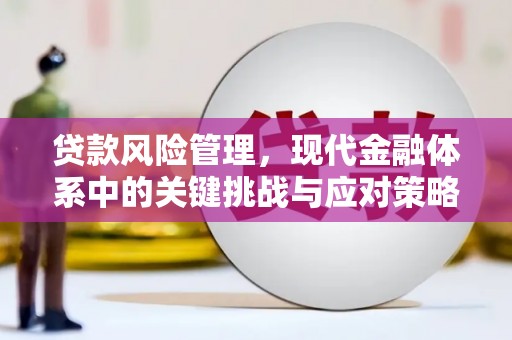 贞丰贷款风险管理，现代金融体系中的关键挑战与应对策略