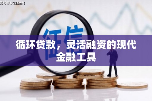 贞丰循环贷款，灵活融资的现代金融工具