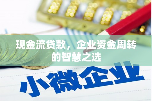 贞丰现金流贷款，企业资金周转的智慧之选