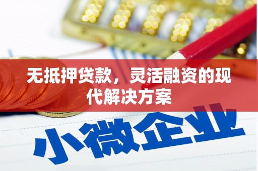 贞丰无抵押贷款，灵活融资的现代解决方案