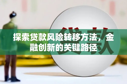 贞丰探索贷款风险转移方法，金融创新的关键路径