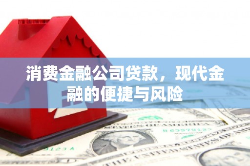 贞丰消费金融公司贷款，现代金融的便捷与风险