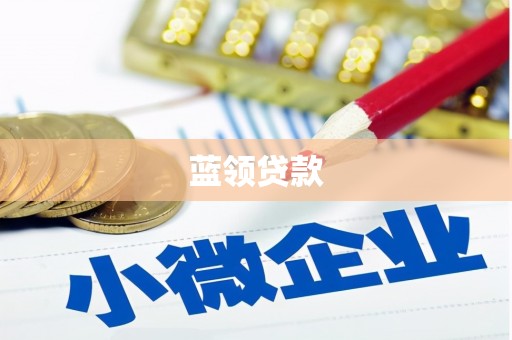 贞丰蓝领贷款