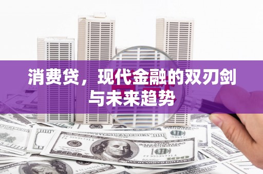 贞丰消费贷，现代金融的双刃剑与未来趋势