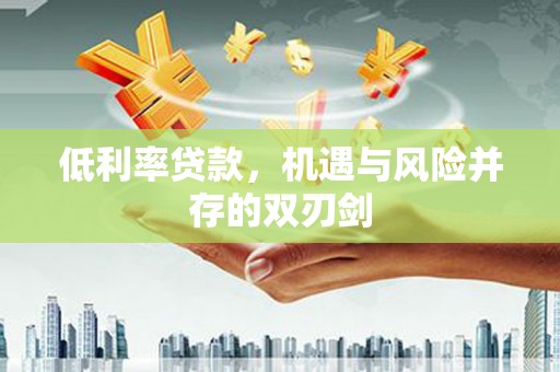贞丰低利率贷款，机遇与风险并存的双刃剑