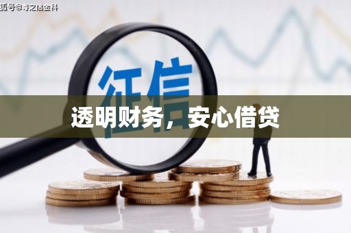 贞丰透明财务，安心借贷