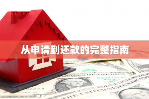 贞丰从申请到还款的完整指南