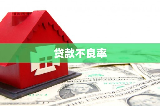 贞丰贷款不良率