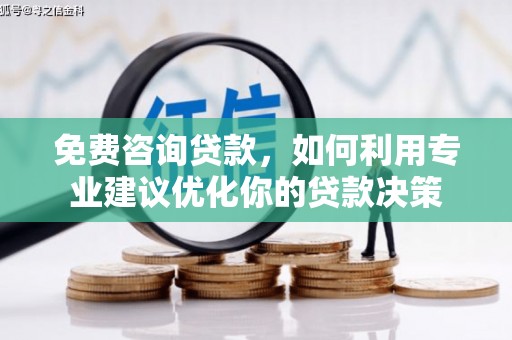 贞丰免费咨询贷款，如何利用专业建议优化你的贷款决策