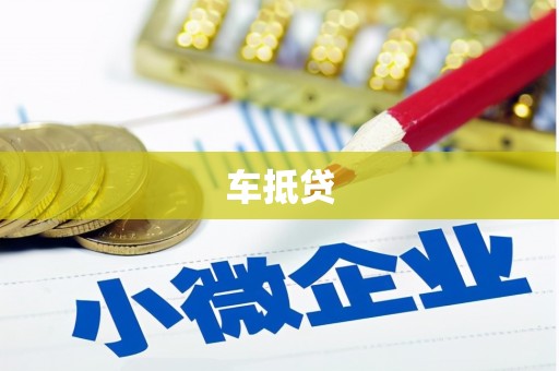 贞丰车抵贷